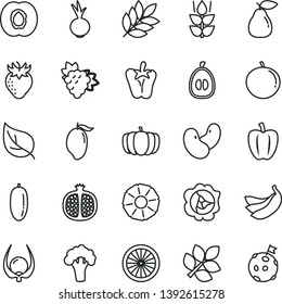 thin line vector icon set - peper vector, beet, mint, half apricot, pomegranate, branch of grape, squash, pear, strawberry, mango, date fruit, tangerine, loquat, bananas, orange, slice pineapple