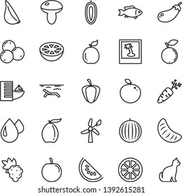 thin line vector icon set - mushroom vector, garlic, fish, grape, blueberry, blueberries, water melon, slice of, loquat, tangerine, tasty plum, sweet date fruit, juicy lemon, delicious apple, guava