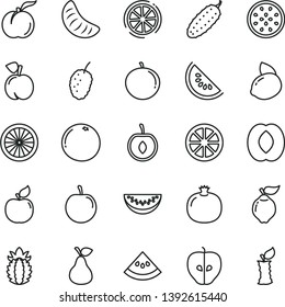 thin line vector icon set - cucumber vector, pear, peach, ripe, pomegranate, quince, apricot, tasty apple, mulberry, slice of water melon, half, tangerine, plum, cherry, yellow lemon, juicy, orange