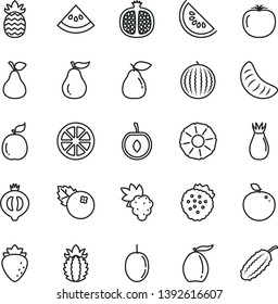 thin line vector icon set - blueberries vector, strawberries, pear, half pomegranate, grape, raspberry, rose hip, of medlar, water melon, slice, loquat, tangerine, cherry, passion fruit, juicy lemon