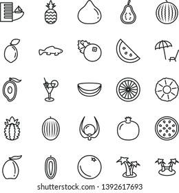 thin line vector icon set - small fish vector, blueberries, a pineapple, orange slice, pomegranate, fig, melon, water, half of mango, loquat, sweet date fruit, passion, sour lime, piece coconut