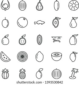 thin line vector icon set - small fish vector, orange slice, melon, water, mango, half of, loquat, date fruit, passion, sweet, lime, kiwi, sour, guava, guawa, ripe pineapple, part, physalis, beach