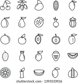 thin line vector icon set - beet vector, strawberry, strawberries, cherry, quince, apricot, rose hip, mulberry, mango, half of, loquat, goji berry, water melon slice, tangerine, ripe plum, lemon