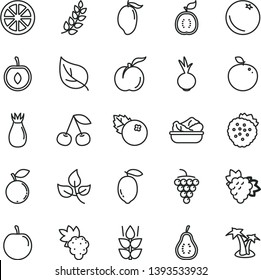 thin line vector icon set - lettuce in a plate vector, beet, blueberries, strawberries, orange, mint, cherry, ripe peach, grape, branch of, large, rose hip, blueberry, mango, tasty plum, half, lemon