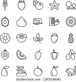 thin line vector icon set - popsicle vector, blueberries, a pineapple, pear, raspberry, cornels, fig, half of medlar, tasty, mulberry, slice water melon, delicious plum, kiwi, ripe guava, pepper