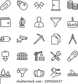 thin line vector icon set - clip vector, purse, clean paper, safety pin, tower crane, small tools, ntrance door, hedge, sausage, torte, blueberries, pumpkin, forest, filter, water, woman, coins