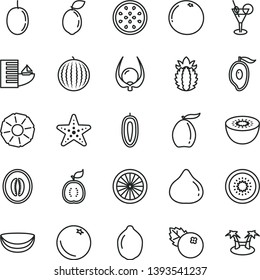 thin line vector icon set - blueberries vector, orange, fig, water melon, half of mango, loquat, passion fruit, sweet date, lime, kiwi, sour, guawa, piece coconut, ripe pineapple, slice, grapefruit