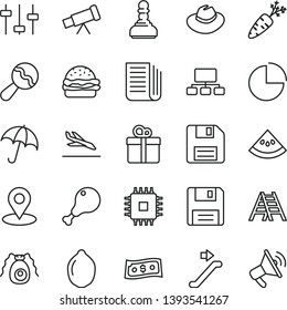 thin line vector icon set - floppy disk vector, hat, pie chart, beanbag, ladder, umbrella, gift, burger, chicken leg, lime, slice of water melon, carrot, geolocation, scheme, newspaper, cpu, bactery