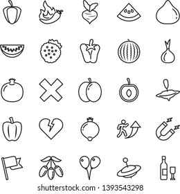 thin line vector icon set - cross vector, yule, small, colored air balloons, broken heart, flag, peper, strawberries, apple, pomegranate, fig, medlar, water melon, goji berry, slice, half cherry, of