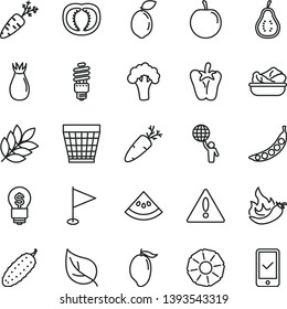 thin line vector icon set - warning vector, wicker pot, pennant, lettuce in a plate, cucumber, peper, carrot, rose hip, mango, tasty plum, sour lime, slice of pineapple, part guava, water melon