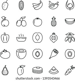 thin line vector icon set - hot porridge vector, grill chicken leg, tomato, chili, a pineapple, pancakes, peach, half apricot, plum, of medlar, tasty mulberry, cornels, goji berry, ripe, bananas