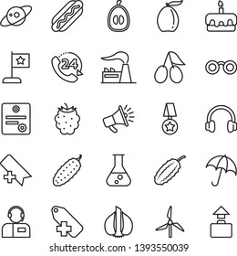 Thin Line Vector Icon Set - Add Bookmark Vector, Label, Umbrella, 24, Operator, Hot Dog, Torte, Cucumber, Cornels, Blackberry, Loquat, Half, Garlic, Windmill, Factory, Horn, Headphones, Flask, Medal