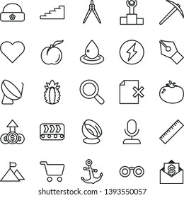 thin line vector icon set - yardstick vector, magnifier, warm hat, heart, anchor, delete page, tomato, ripe peach, pineapple, conveyor, drop of oil, satellite dish, shopping cart, glasses, antenna
