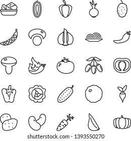 thin line vector icon set - onion vector, mushroom, lettuce in a plate, cabbage, cucumber, tomato, peper, beet, garlic, squash, mulberry, goji berry, sweet date fruit, half, ripe pepper, red, hot