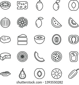 thin line vector icon set - piece of cheese vector, pizza, slices onion, cake, meat, orange slice, sandwich, plum, water melon, half peach, lemon, kiwi, tamarillo, sour lime, pineapple, grapefruit