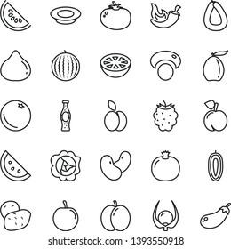 thin line vector icon set - stick of sausage vector, a plate milk, tomato, chili, bottle soda, apple, orange slice, peach, pomegranate, squash, fig, blackberry, water melon, loquat, tasty plum