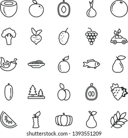 thin line vector icon set - slices of onion vector, chili, fish, apple, pear, branch grape, large, tasty mulberry, slice water melon, delicious plum, date fruit, half loquat, guava, coconut, stub