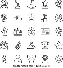 thin line vector icon set - star vector, pedestal, medal, laurel branch, winner podium, prize, award, cup, gold, reward, man with, motivation, mountain flag, pennant, ribbon, certificate, hands up