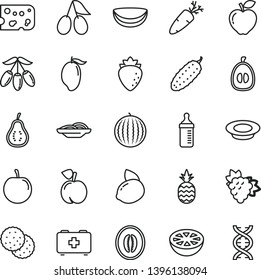 thin line vector icon set - measuring bottle for feeding vector, bag of a paramedic, piece cheese, slices onion, plate milk, cucumber, carrot, pineapple, biscuit, peach, branch grape, red apple, dna