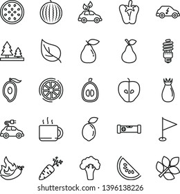 thin line vector icon set - pennant vector, construction level, peper, cup of tea, pear, tasty apple, rose hip, water melon, slice, half mango, loquat, passion fruit, sour lime, lemon, hot pepper