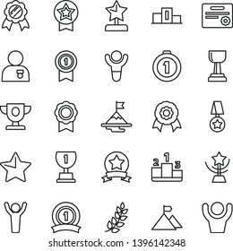 thin line vector icon set - star vector, pedestal, medal, winner, laurel branch, prize, award, gold cup, reward, man hands up, with, motivation, mountain flag, first place, pennant, ribbon