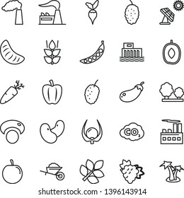 thin line vector icon set - garden trolley vector, carrot, mint, branch of grape, mulberry, tasty, delicious plum, slice tangerine, physalis, Bell pepper, peas, beans, mashroom, eggplant, radish