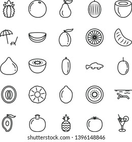 thin line vector icon set - small fish vector, a pineapple, pomegranate, fig, melon, half of mango, loquat, date fruit, slice tangerine, passion, lime, kiwi, orange, piece coconut, ripe, grapefruit