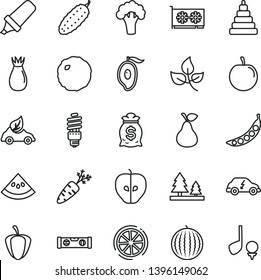 thin line vector icon set - stacking toy vector, building level, cabbage, cucumber, pear, tasty apple, rose hip, water melon, half of mango, plum, slice lemon, ripe pepper, carrot, peas, broccoli