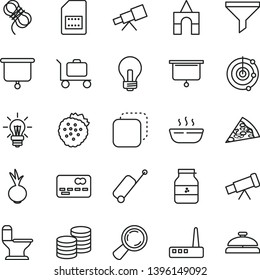 thin line vector icon set - incandescent lamp vector, box of bricks, comfortable toilet, hawser, coins, copy, piece pizza, hot porridge, beet, jar jam, strawberries, SIM card, magnifier, filter