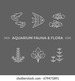 Thin line vector icons - aquarium flora and fauna. Outline isolated signs of fish and plants for fish tank.
