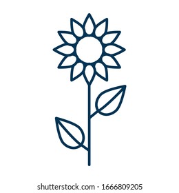 Thin line vector outline icon of a sunflower flower with two leaves slenderly standing on a white background isolated with editable stroke