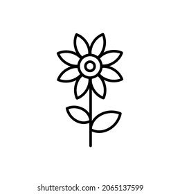Thin line vector outline icon of a sunflower