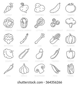 Thin Line Vegetable Vector Icon Set.