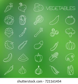 Thin line vegetable vector icon set.