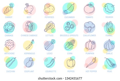 Thin line vegetables vector icon set