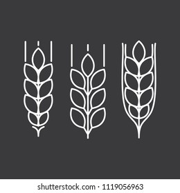 thin line wheat ears icons set black on white background