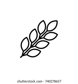 thin line wheat icon on white background