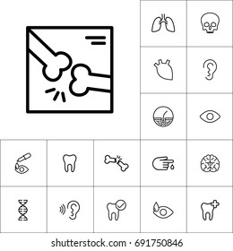 thin line x-ray of broken bone icon on white background