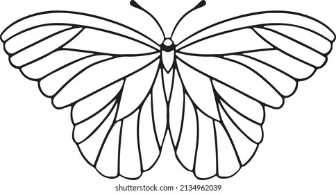 Ilustración vectorial monocromática de mariposa lineal delgada