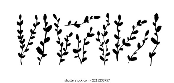 Thin long vertical branches with small leaves isolated on white background. Brush drawn ivy branches. Vector hand drawn illustration in simple doodle cartoon style. Silhouettes of small twigs.