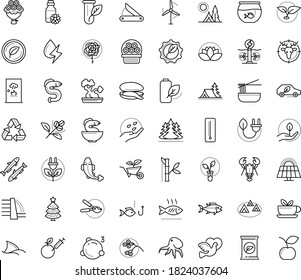 Thin outline vector icon set with dots - christmas tree vector, Plant, Garden pruner, fertilizer, seeds, service, Aquarium, Fishing, Hunting, Camping, vegetarian, flower basket, rose, dove, bouquet