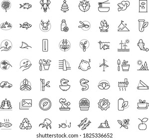Thin outline vector icon set with dots - elk vector, christmas tree, holly, Gardening, Garden pruner, seeds, Fishing, Hunting, Camping, vegetarian, flower basket, rose, dove, Seafood, sardine, perch