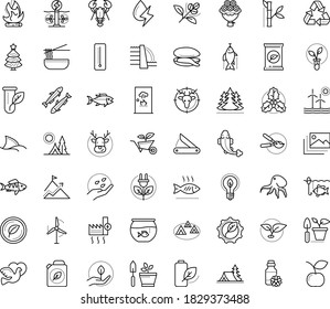 Thin outline vector icon set with dots - elk vector, christmas tree, holly, Gardening, Plant, Garden pruner, fertilizer, seeds, service, Aquarium, Hunting, Camping, vegetarian, dove, bouquet, mussel