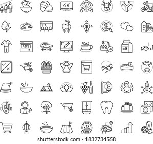 Thin outline vector icon set with dots - chills vector, santa hat, elk, angel, growth, Winemaking, area of specialization, Photo services, babysitting service, Garden, Webdesign, Game based Learning