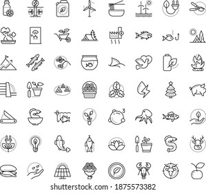 Thin outline vector icon set with dots - elk vector, christmas tree, holly, Gardening, Garden pruner, seeds, service, Aquarium, Fishing, Hunting, Camping, vegetarian, flower basket, dove, bouquet