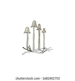 Thin poisonous pale toadstools in forest branches. Mushrooms are drawn by hand in black outline. Amanita. Vector natural elements isolated on white background.