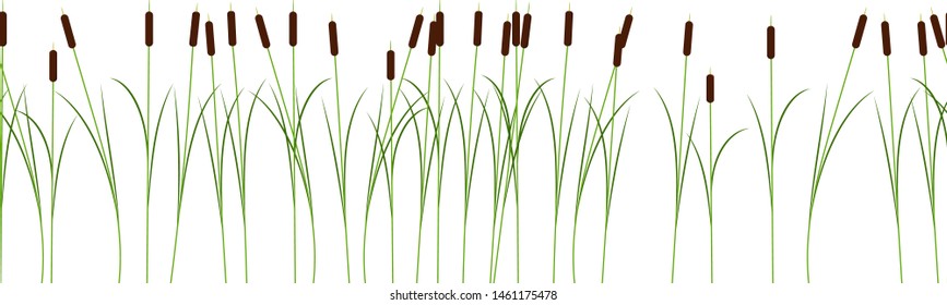 Thin reed stalks plant seamless pattern on white background