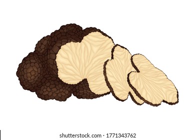 Thin Slices of Truffle Subterranean Fungus Vector Illustration