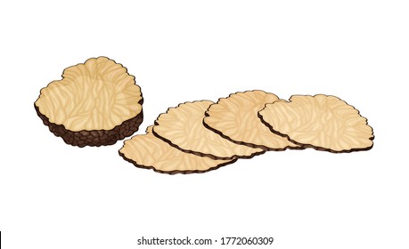 Thin Slices of Truffle Subterranean Fungus Vector Illustration