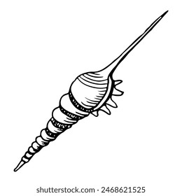 Delgado caracol marino espiral de caracol de mar ilustración en blanco y negro para colorear páginas. Dibujado a mano boceto de línea de animal marino para diseños náuticos y estampados marinos de verano
